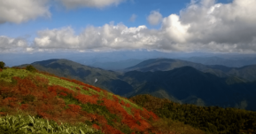Japón | El despertar del otoño japonés en Gero