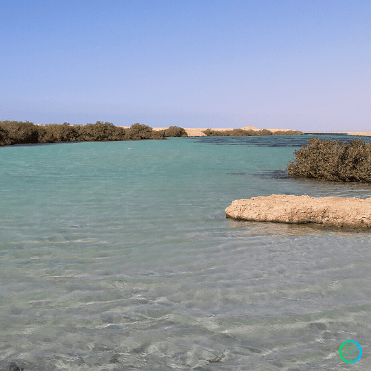 Egipto | Fluyen los golfos desde el Parque Nacional Ras Mohammed