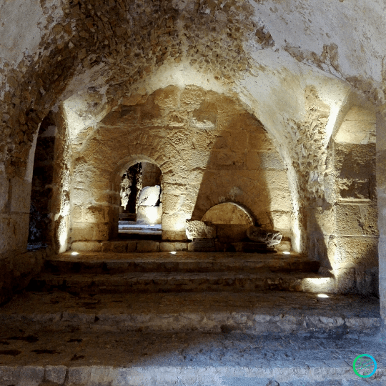 Jordania | Un bosque en el desierto desde Ajloun