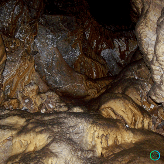 Argentina | Un latido planetario desde Mendoza