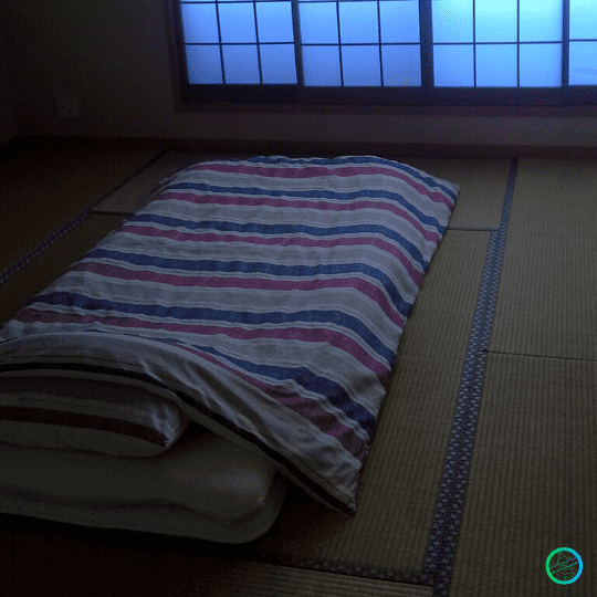 Guía | Consejos de hospedaje para viajar a Japón