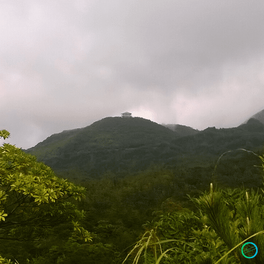 Japón | Los rugidos del volcán Sakurajima desde Kagoshima