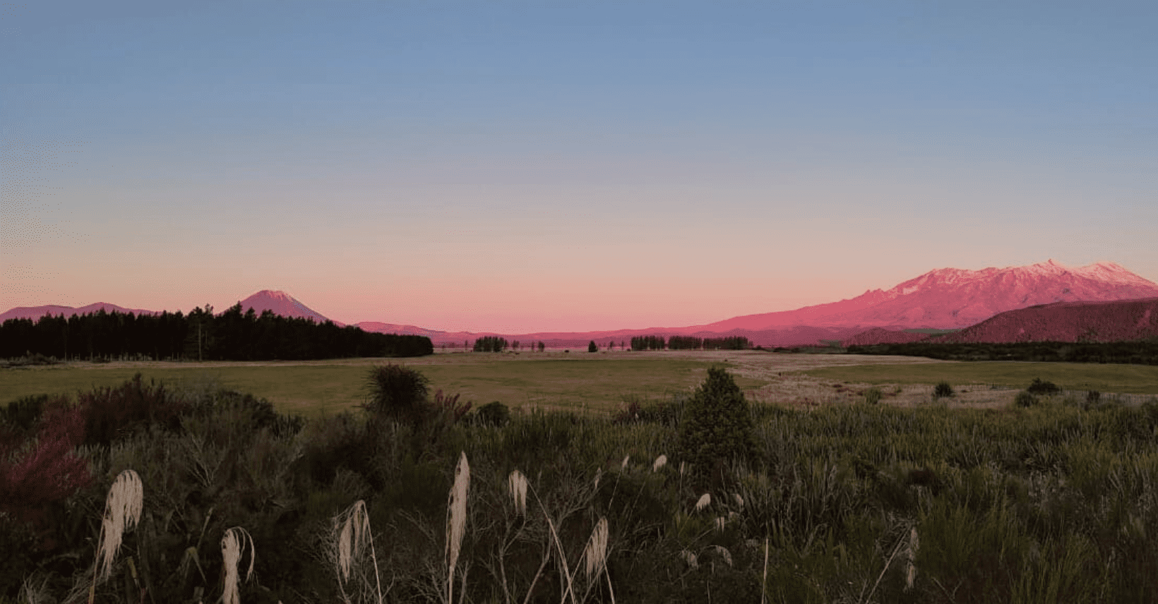 Nueva Zelanda | Diario de 1 año viviendo en Tongariro National Park